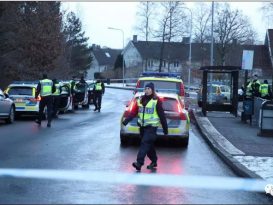 封路 派特警 出动直升机 瑞典警方 2小时破拐婴案