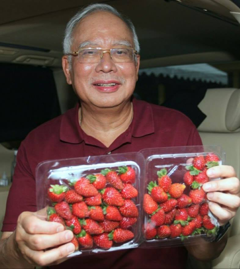 纳吉捧着2盒草莓拍照，宣称是到金马仑高原买草莓，藉此调侃卡立沙末到金马仑高原的用意。