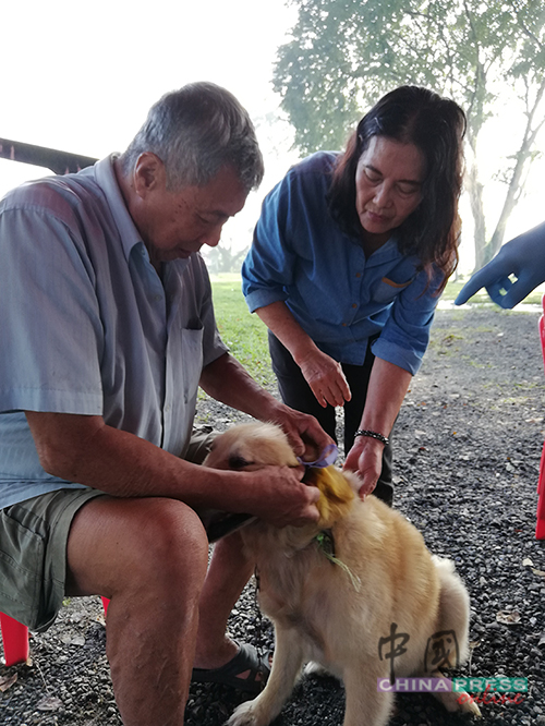 周留忠（左）携带爱犬前来注射疫苗，以求安心。