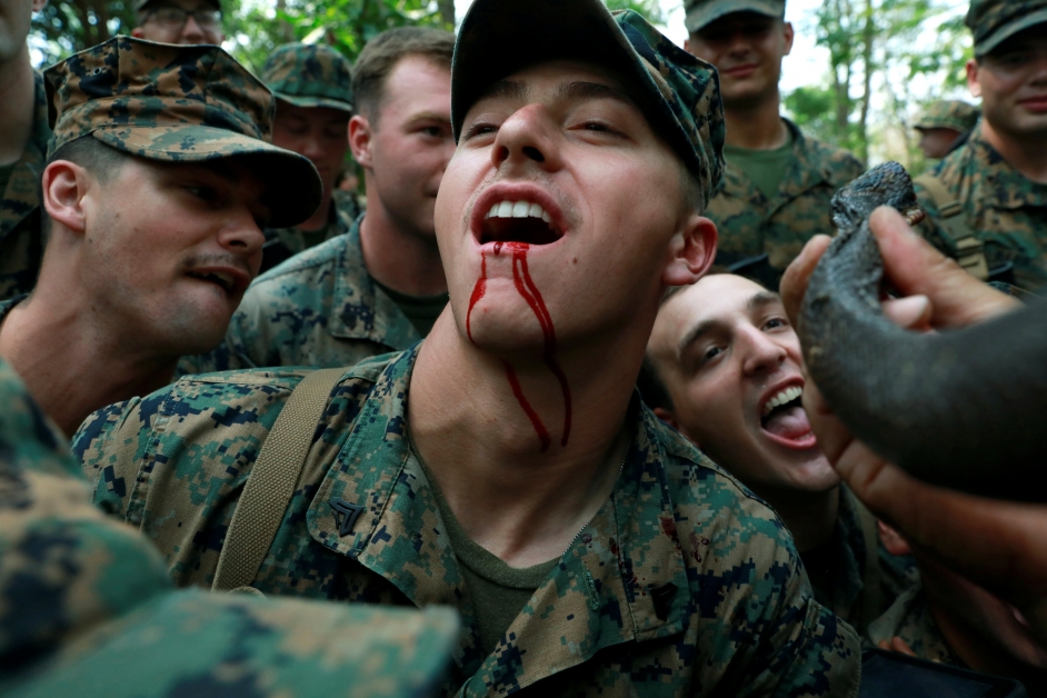 金色眼镜蛇联合军演，美军士兵喝蛇血试胆。