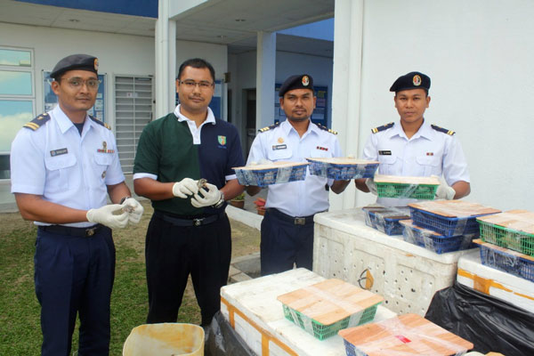 大马海事执法机构起获企图被偷运入境的小水鱼，右2是莫哈末奥斯曼。