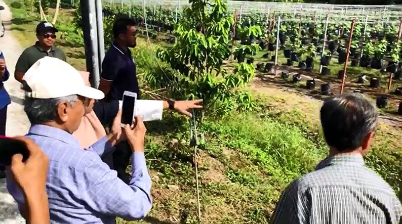 马哈迪巡视巴生永续食品生产园时拿出手机拍照，记录下生产园的规模。