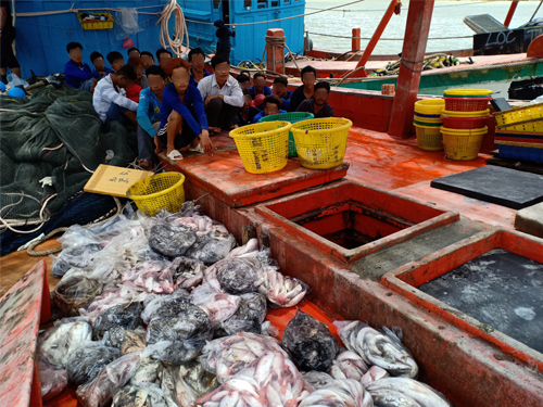没有合法入境证件的越南渔民当场被执法员逮捕。