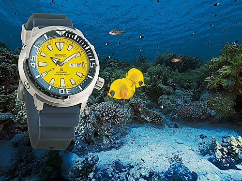 SEIKO精工全新PROSPEX限量版潜水腕表─蓝纹蝴蝶鱼，由通城集团独家限量发行2200枚。