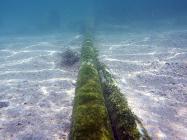 海底电缆档案照。