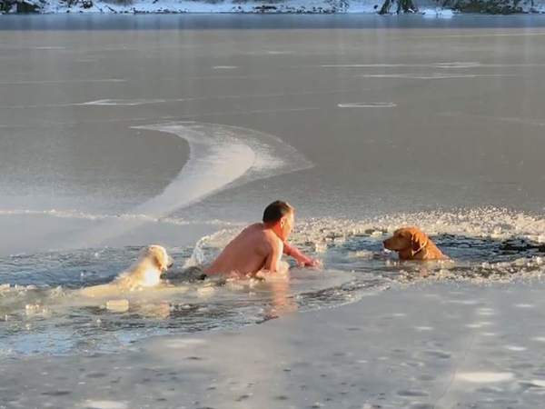 尤里夫赤裸上身游向其中一只受困的狗狗施援，其爱犬跟随在后。