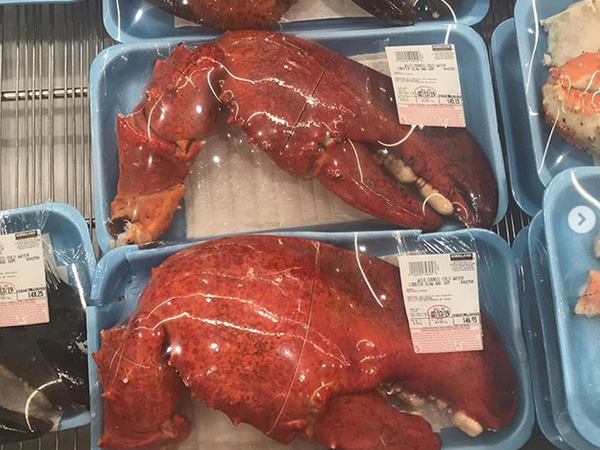 美国Costco卖的龙虾螯尺寸惊人。