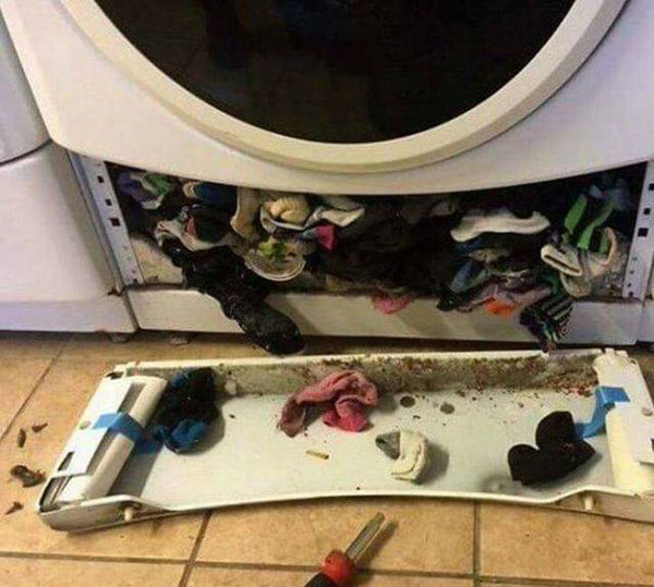 网友拿螺丝起子打开洗衣机，发现里面全是不见的袜子。