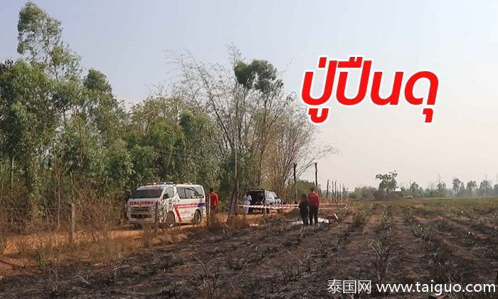 警员和救护车在案发地甘蔗地进行调查。