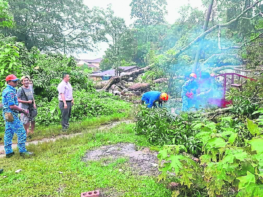 民防局人员到场展开援助行动，锯开树木及移走堆在住屋的树干。