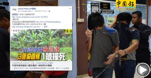 香蕉园华裔少东控误杀  若罪成 最高监30年