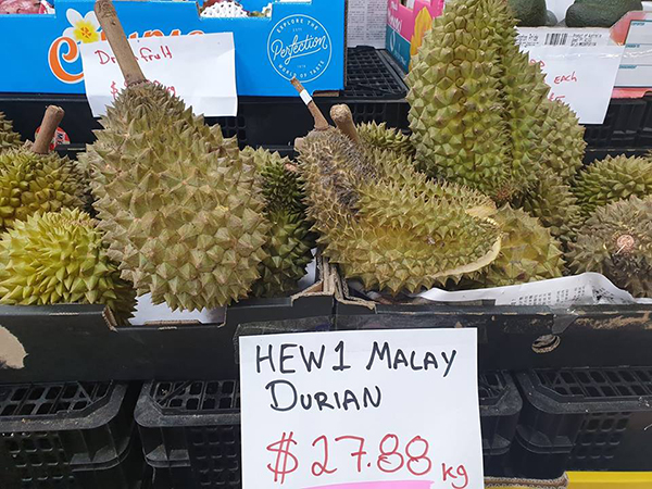 澳洲达尔文某水果摊位卖的HEW1品种榴梿，售价为1公斤27.88澳元（约80.8令吉）。 （档案照）