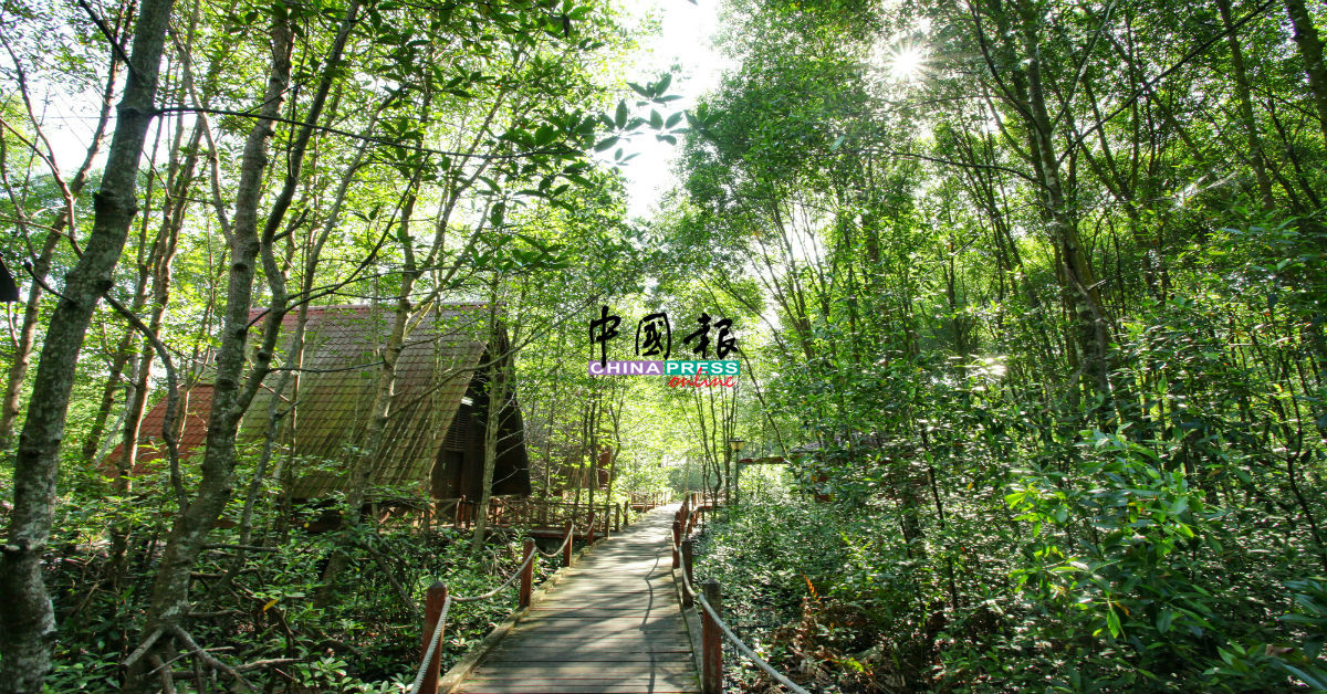 十八丁红树林生态旅游中心，适合旅游与教育考察。