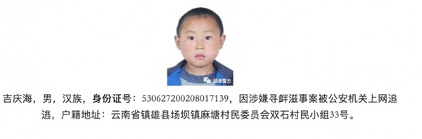 今年8月将满17岁的吉庆海，通缉公告的童颜照被网友称赞好可爱。／“镇雄警方”官微
