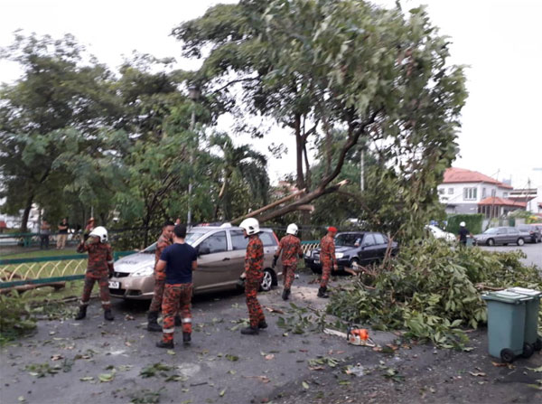 隆市狂风暴雨，至少发生6宗树倒事故。