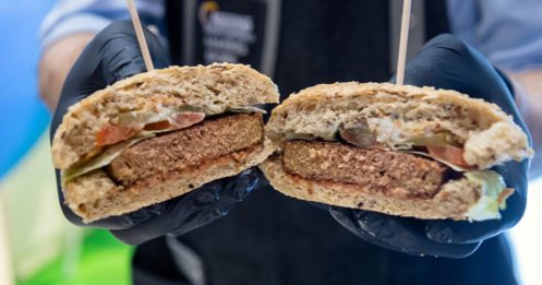 素漢堡不能稱“漢堡” 歐洲議會為素食正名