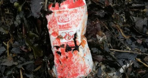 海边捡垃圾 发现30年前铝罐