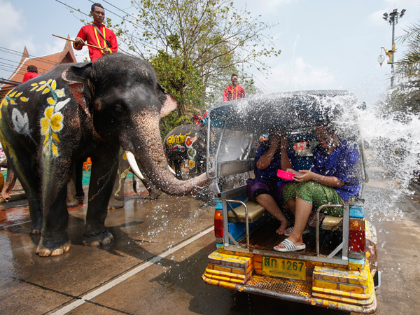 泰国大城府一头大象，周四向游客喷水，为泼水节“预热”。