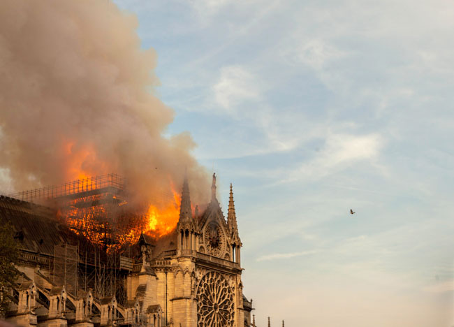 巴黎圣母院火灾的画面。
