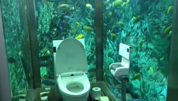 日本兵库县有间餐厅将厕所打造成水族馆，吸引许多民众朝圣。