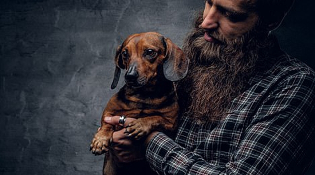 研究发现男性胡子藏有的细菌量比在狗只身上的还要多。(互联网)