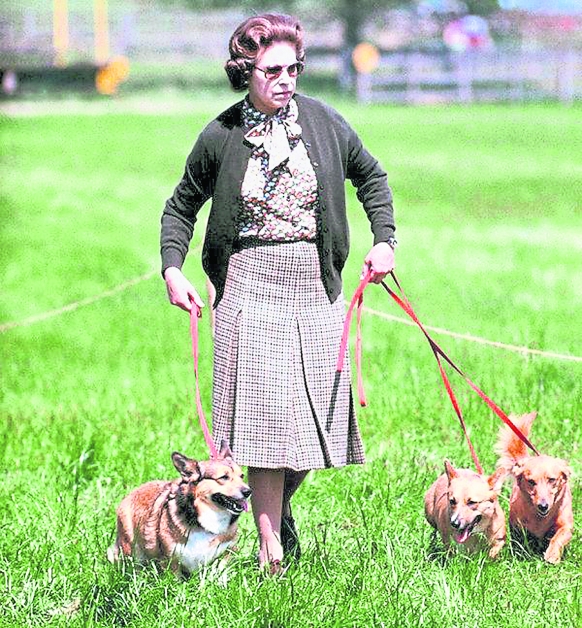 英女王80年代遛狗照片。