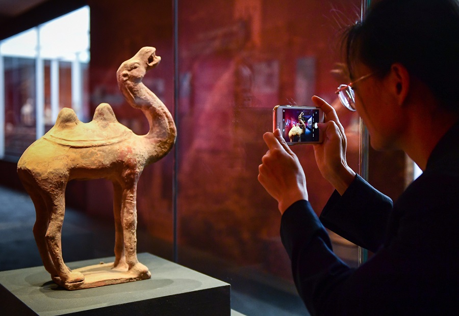 这只骆驼也是意大利归还中国的文物之一。