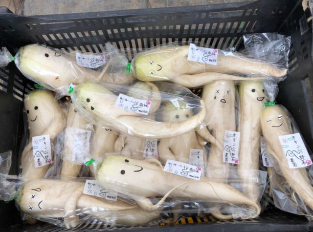 日本一处农家，将形状太过特殊的萝卜加上具巧思的包装，意外热卖。