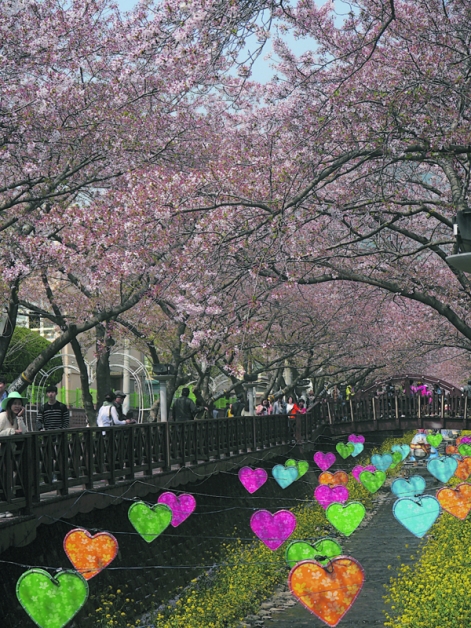 余佐川桥两侧的樱花树与桥中央装饰，是每个来到镇海的旅人都不会错过的拍照景点。