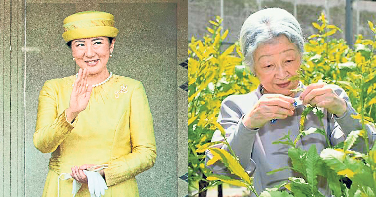 左；皇后雅子周六在皇宫长和殿阳台向民众挥手致意。（法新社）
右：美智子当年在园内打理养蚕工作。(互联网)
