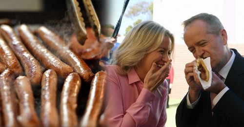 澳洲投票日 吃“民主”香腸