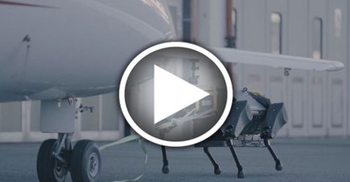 这只机器狗 拉动了3吨重飞机