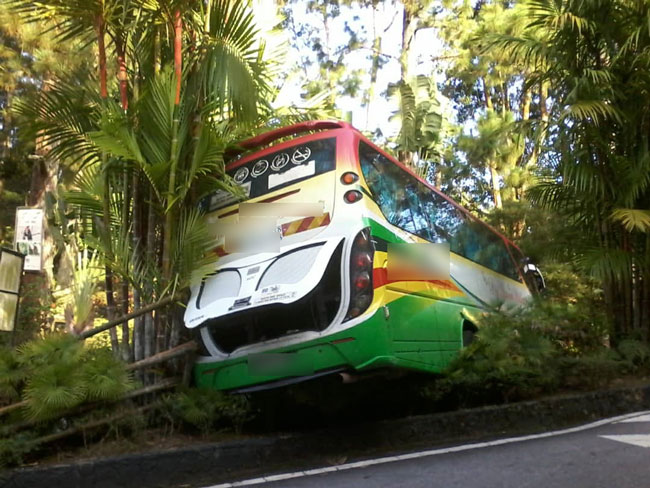 旅巴车尾撞上酒店大门外的路墩，连景观树也被撞倒。