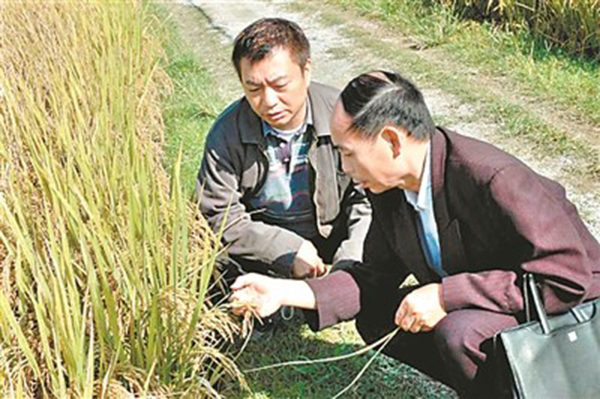 廖伟雄早年发展有机耕种事业，亲自学习种植方法。