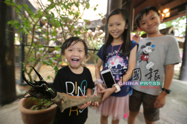小朋友尝试接触马来西亚最大的甲虫，让他们对大自然界有更深的了解。