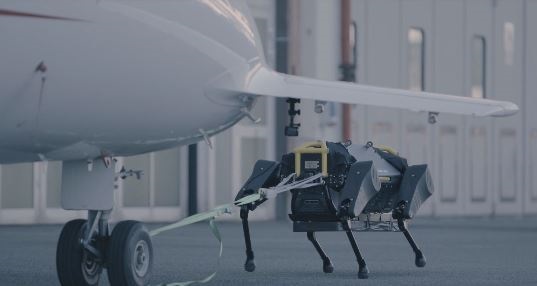 意大利理工学院近日对研发的机器狗HyQReal进行测试，成功拉动一架3吨重飞机。（互联网）