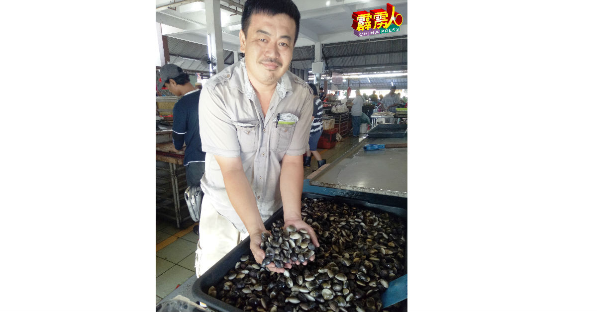 王志明指每天可售罄约80公斤的鲜美沙蚌。