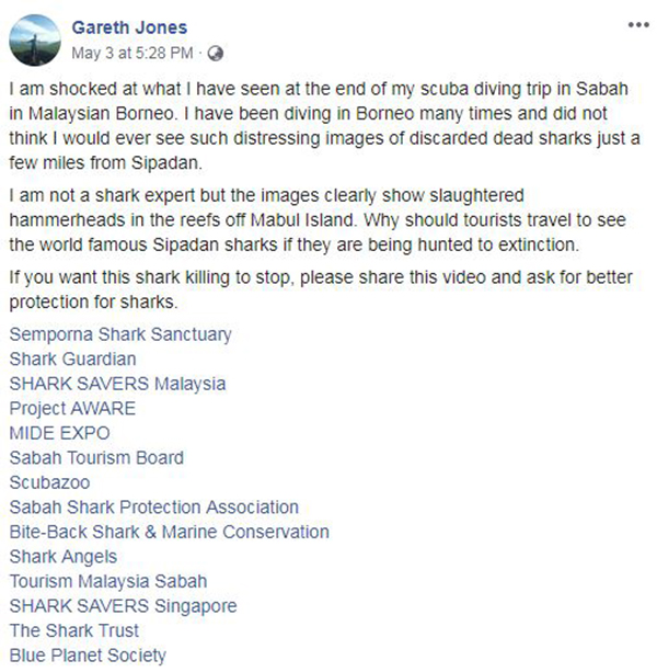 琼斯撰文揭发沙巴海域有双髻鲨被屠宰事件。（截图取自琼斯面子书）