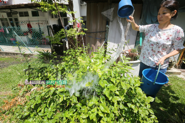 为节省水源，浇花时可用装有雨水的水源来浇花，省钱又环保。
