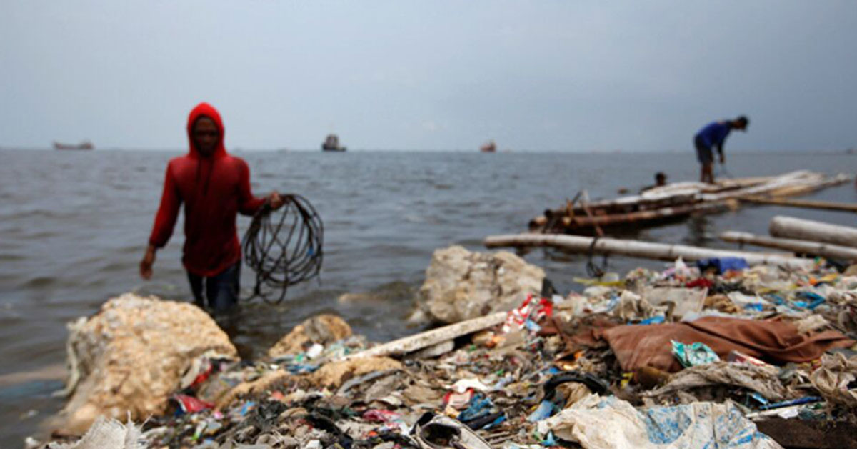 耶加达海岸上的塑料垃圾。