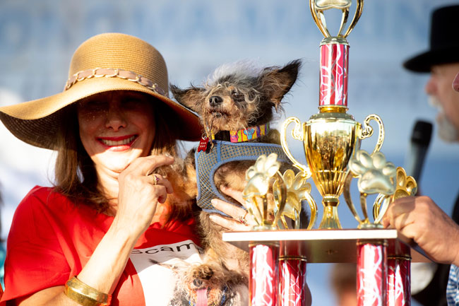 “流氓小子”当选世界最丑狗狗，饲主开心抱着它合照。