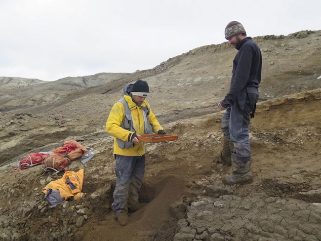 研究员在南极西摩岛挖出“异类”恐龙化石。