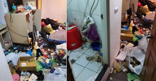 房客养猫屎尿轰炸地板 整10大袋垃圾 房东崩溃