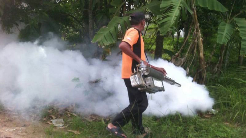 泰国一卫生部人员喷洒喷雾灭蚊。