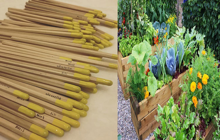 环保可种植铅笔，铅笔末端装有种子胶囊，只要插入泥土便能种出植物及农作物。