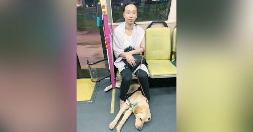 视障女郎遭妇女阻拦 “狗不能上巴士！”