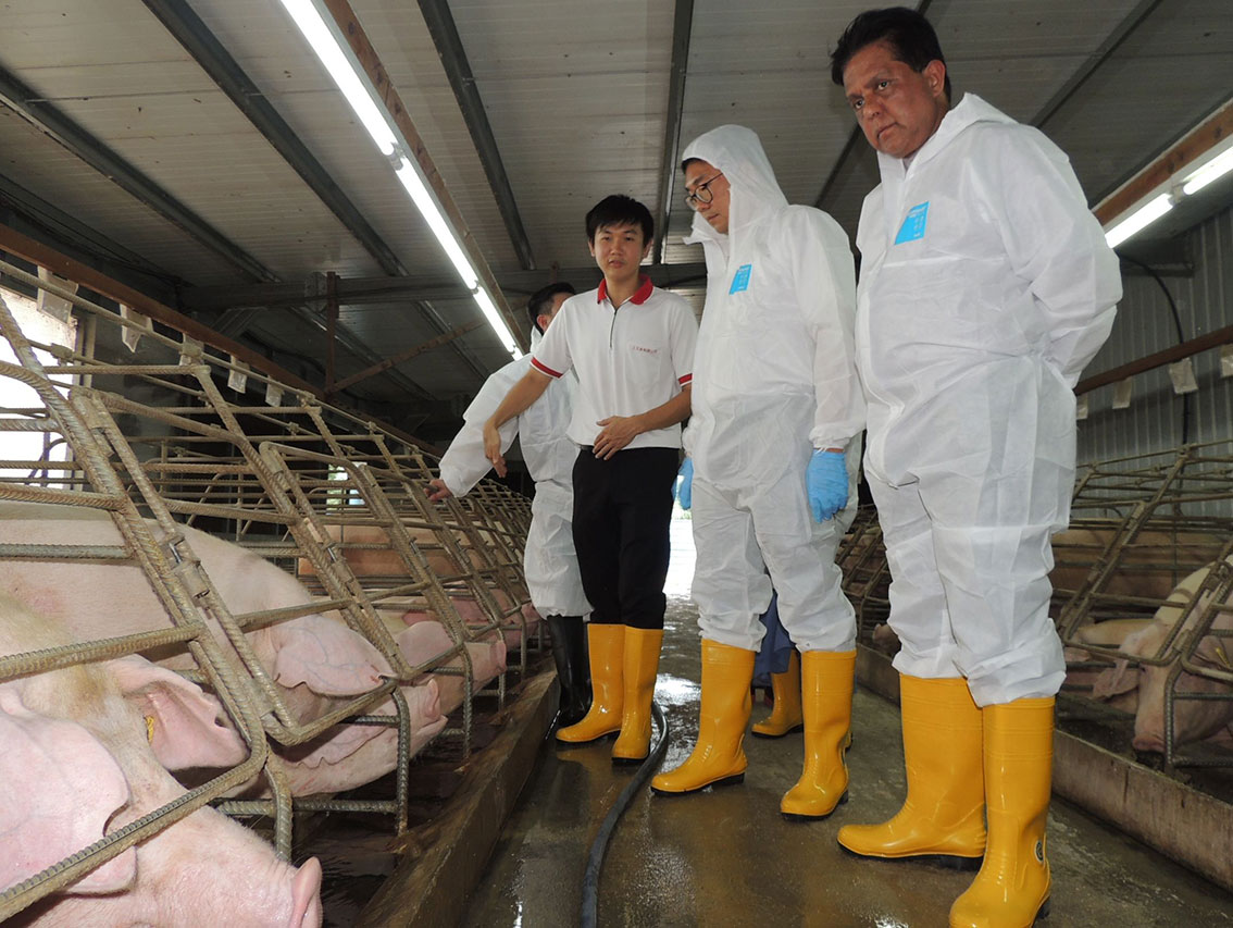 王富升（左起）向沈志勤介绍封闭式养猪场的运作，右为华查尼查慕丁。