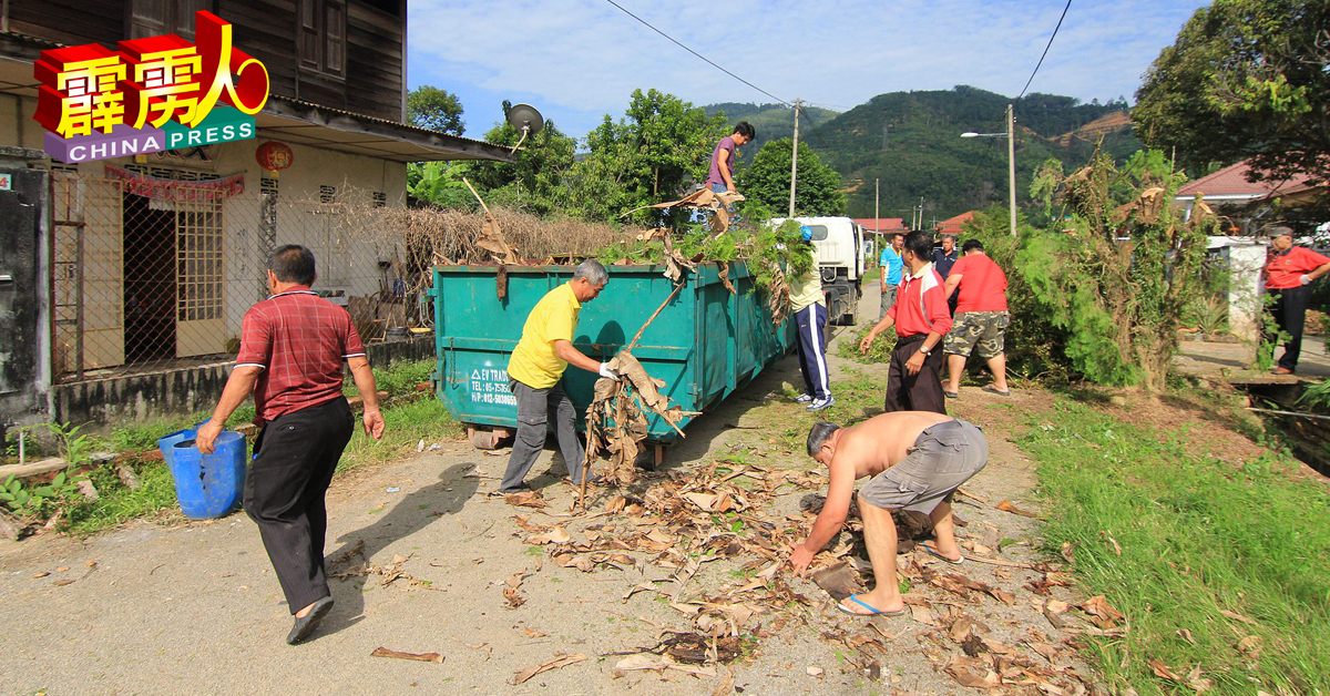 利民村民合力把砍伐的树叶丢进垃圾箱。