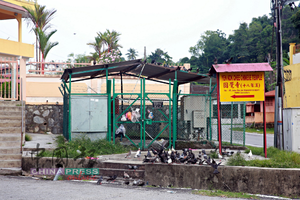 吴勇汉促请民众别喂食野鸽，以免野鸽在组屋范围觅食，引起环境卫生及噪音问题。