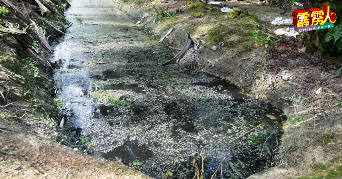 昔加里郊区农地内沟道和小河，出现黑色流水、水面佈满泡沫且发出恶臭。